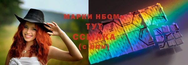 амф Верея