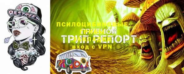 амф Верея