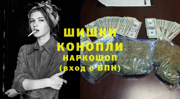 амф Верея
