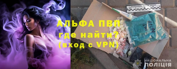 амф Верея